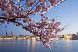 frühling